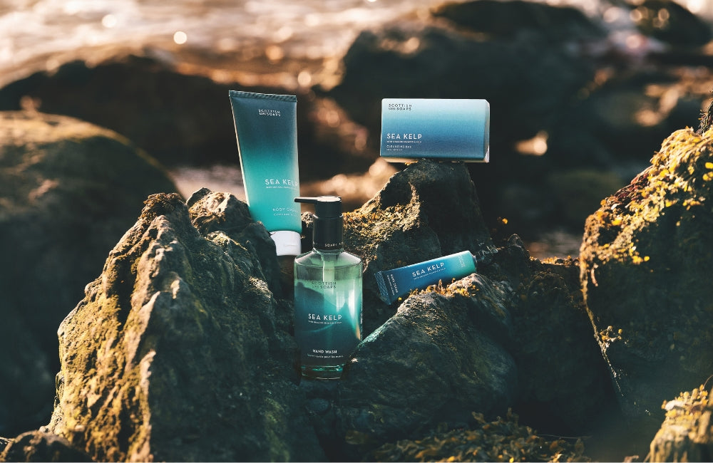 Discover the Benefits of the Scottish Fine Soaps Sea Kelp Range
