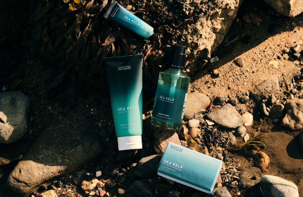 Top 5 Reasons Sea Kelp is Great for Your Skin