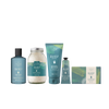 Sea Kelp : The Ultimate Spa Retreat