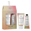 scottish_fine_soaps_Calluna_Botanicals_Hand_Care_Duo